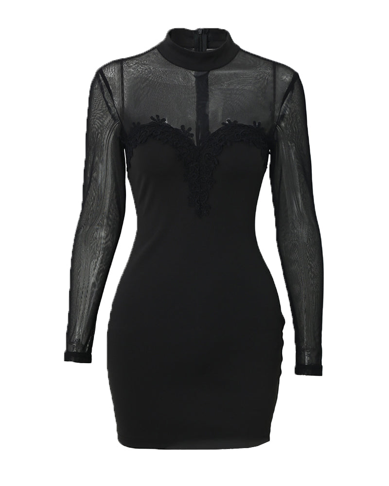 Shimmering Mesh Floral Embroidery Patchwork Round Neck Long Sleeve Bodycon Dress